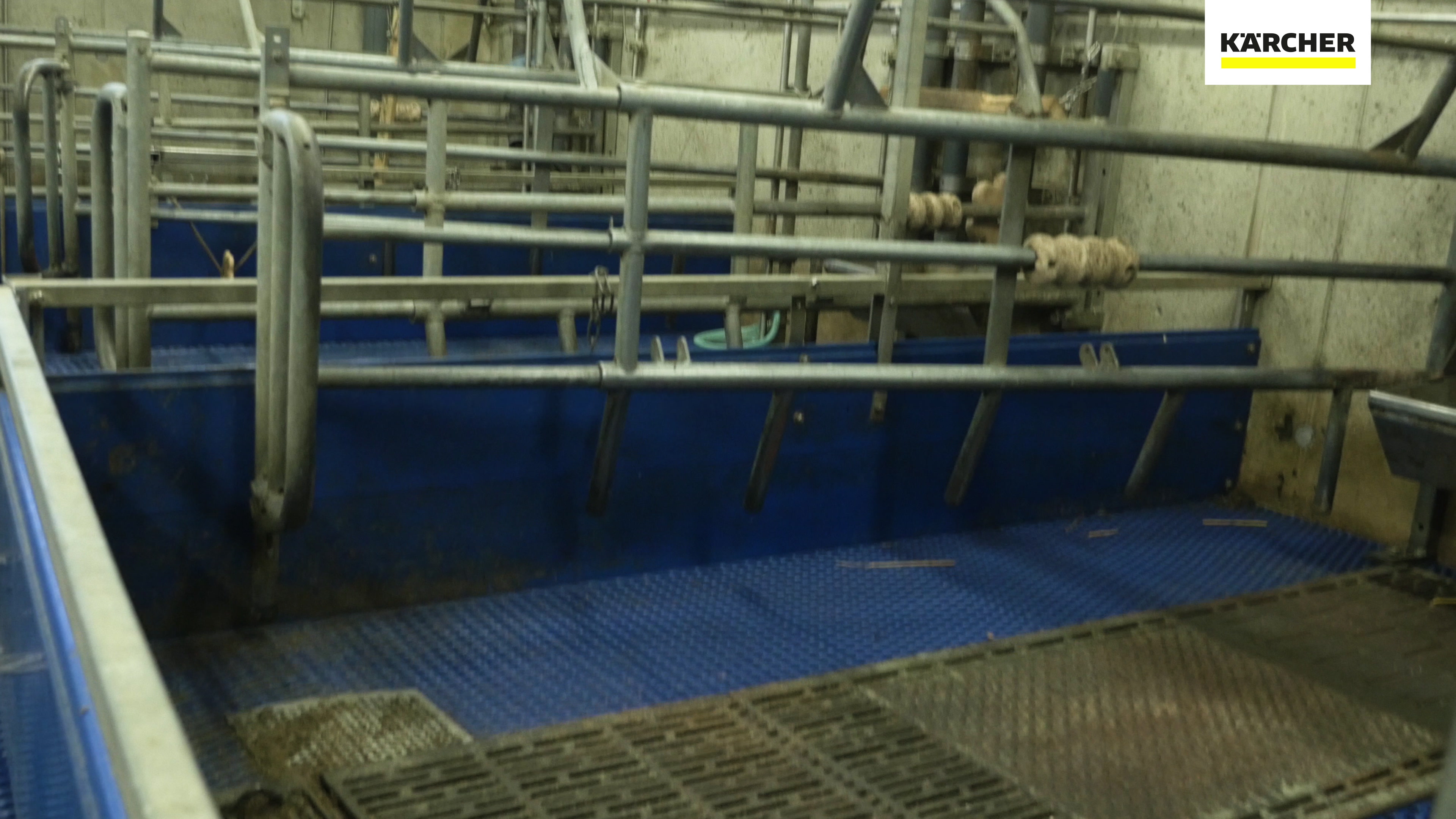 How-to clean liquid feeding pipes in a farrowing pen